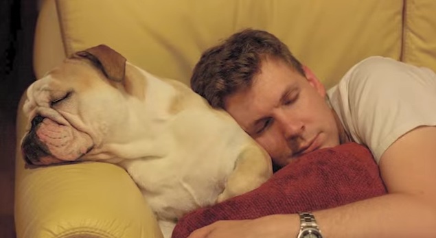 14 απίστευτα πράγματα που δεν γνωρίζετε για τον ύπνο και τις διαδικασίες του - Media