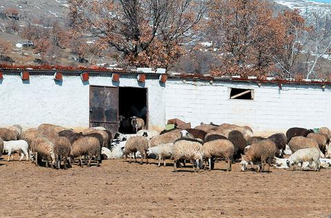 Εξαιρέθηκαν στάνες και θερμοκήπια από τον Ενιαίο Φόρο Ακινήτων - Media