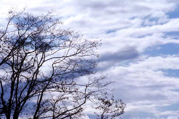 «Χαλάει» ο καιρός - Media