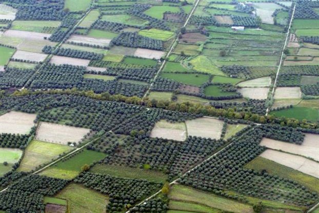 Στρέμμα και… φόρος στα αγροτεμάχια - Media