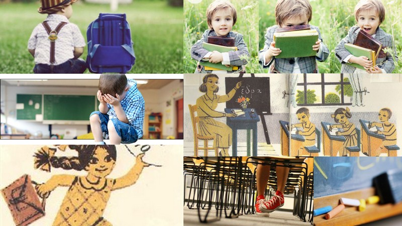 Πώς να βοηθήσετε το «πρωτάκι» σας, να προσαρμοστεί στη νέα του ζωή - Media