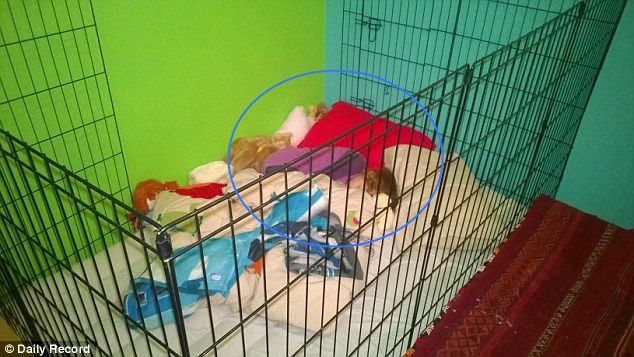 10χρονο κορίτσι κοιμάται σε κλουβί για σκύλους επειδή δεν εγκρίνουν κονδύλι για ειδικό κρεβάτι - Media