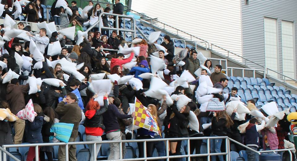 Μαξιλαροπόλεμος για καλό σκοπό! - Media