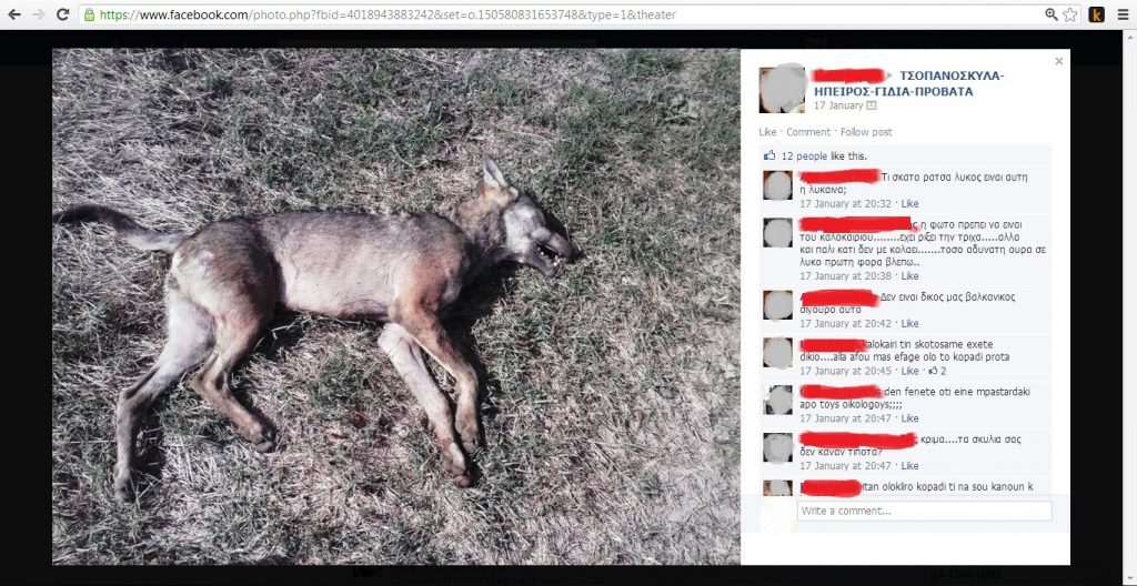 Σκοτώνουν τα άγρια ζώα… στο facebook και τα… ζευγαρώνουν με αγγελίες - Media