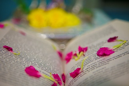 24η Γιορτή για το Παιδί και το Βιβλίο - Media