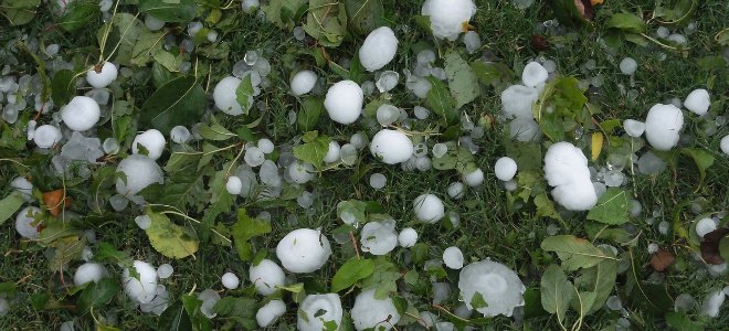 Αιτωλοακαρνανία: Έπεσε χαλάζι σε μέγεθος… μπάλας του γκολφ (Video) - Media