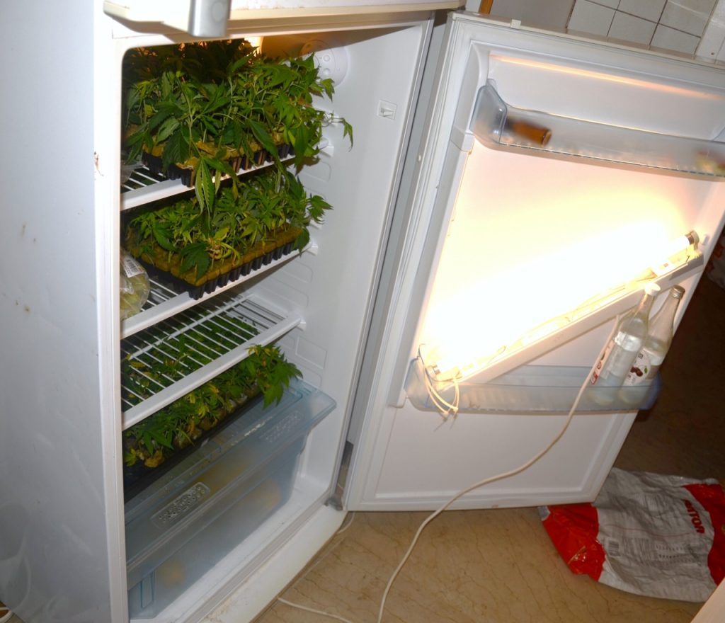 «Breaking bad» στο… Νέο Φάληρο (Photos) - Media