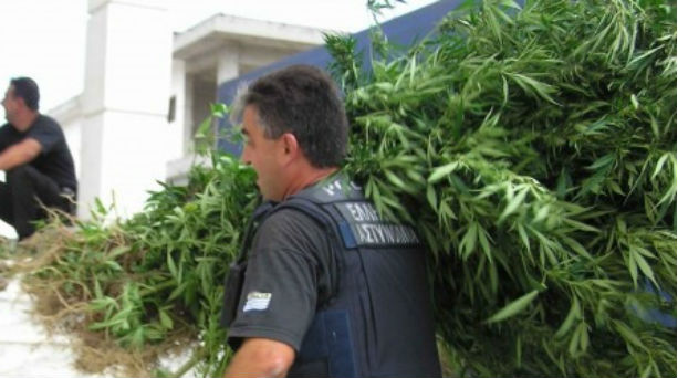 Είκοσι βαρέλια χασίς, όπλα και σφαίρες σε χωριό της Κρήτης - Media