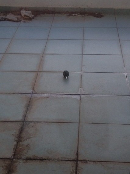 Χειροβομβίδα στη ΔOY Γλυφάδας - Media