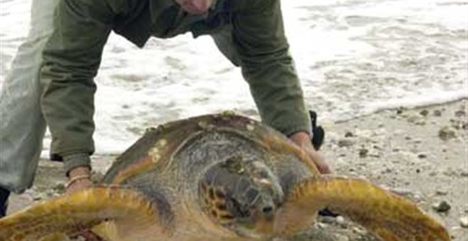 Νέα καταδίκη της Ελλάδας για τον ΧΥΤΑ της Ζακύνθου
 - Media