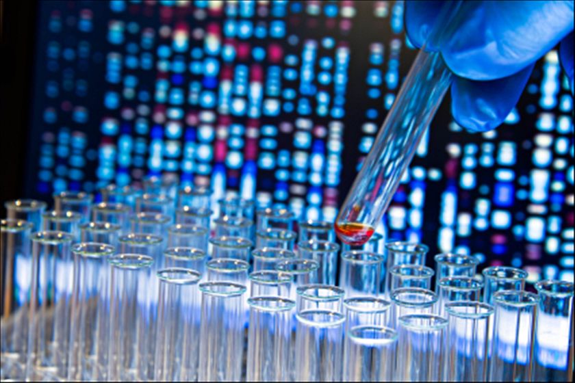 Αμερικανοί πρωτεργάτες κατά του καρκίνου - Media