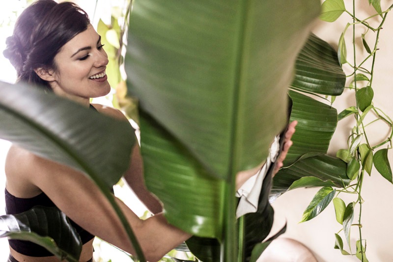 Τα 10 φυτά εσωτερικού χώρου που φιλτράρουν τον αέρα, σύμφωνα με τη NASA - Media