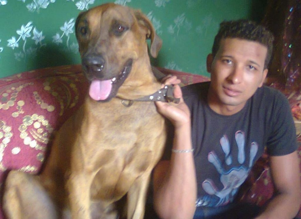 Αίγυπτος: Τρία χρόνια φυλακή σε τέσσερις άνδρες που σκότωσαν σκύλο με μαχαίρι - Media