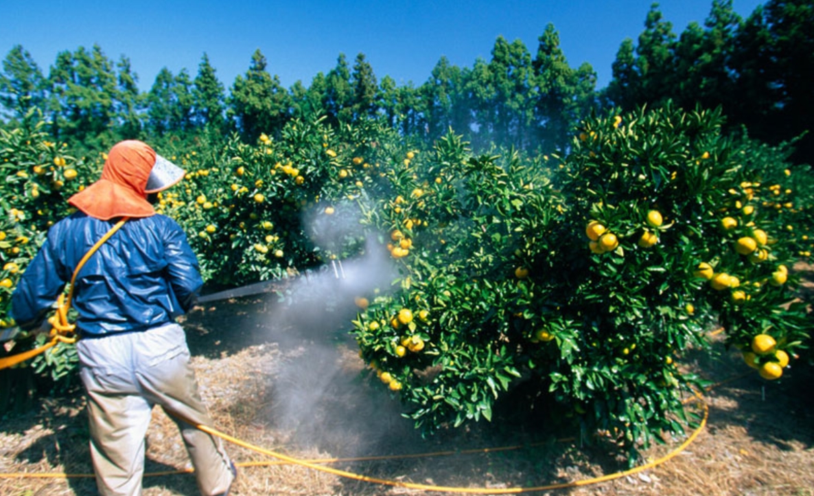 organic food pesticides regulation