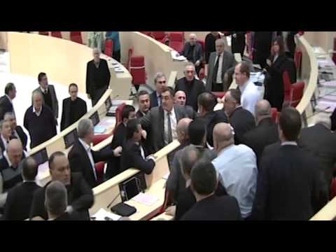 Το ξύλο της… αρκούδας έπεσε στο κοινοβούλιο της Γεωργίας (Video) - Media