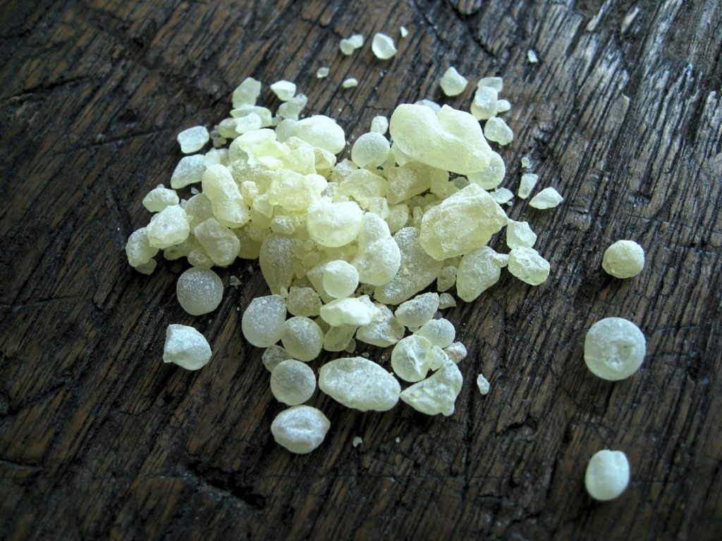 Παγκόσμια αναγνώριση από την UNESCO για τη μαστίχα Χίου - Media