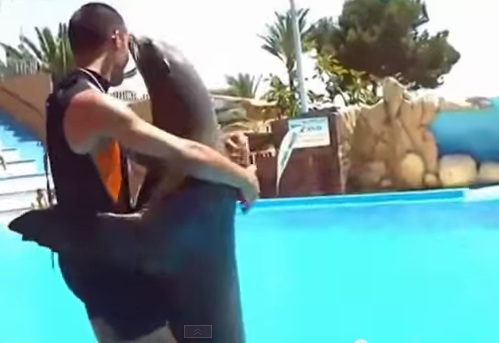 Απίστευτο βίντεο: η φιλία των ανθρώπων με άγρια και - συχνά - επικίνδυνα ζώα - Media