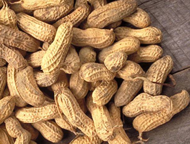 Τα φιστίκια κάνουν καλό στην καρδιά και μειώνουν τον κίνδυνο για πρόωρο θάνατο - Media