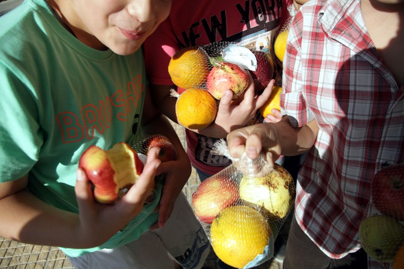 Πειραιάς: Διανομή 53 τόνων μήλων-πορτοκαλιών - Media