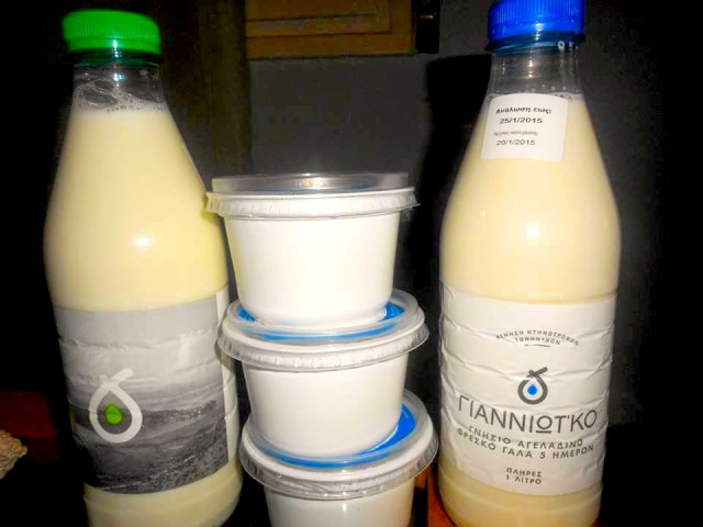 «Κίνηση Κτηνοτρόφων Ιωαννίνων»: Φρέσκο γάλα και γιαούρτι από νέο συνεταιρισμό - Media