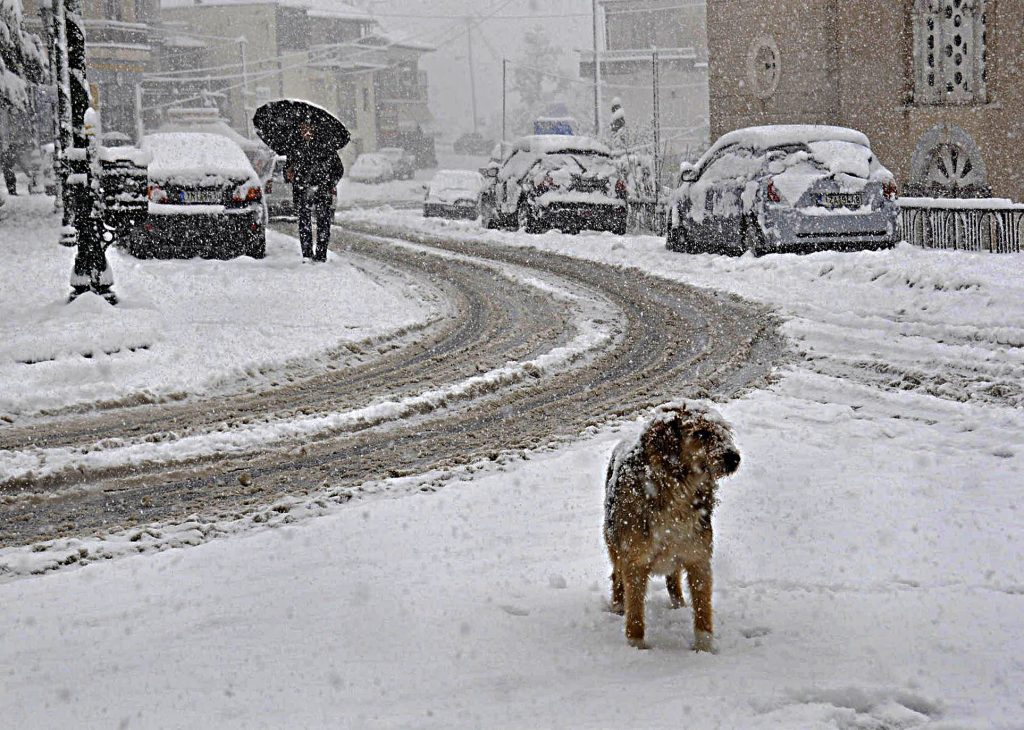 Θεοφάνεια με χιονοπτώσεις και υπό το μηδέν - Media