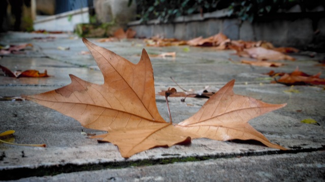 Κυριακή με κρύο και τοπικές βροχές - Media
