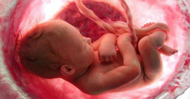 9 μήνες σε 4 λεπτά (Video) - Media