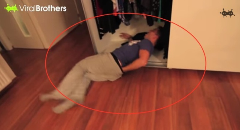 Δείτε τι έπαθε όταν η φίλη του ψέκασε με σπρέι πιπεριού το χαρτί υγείας ! - Media