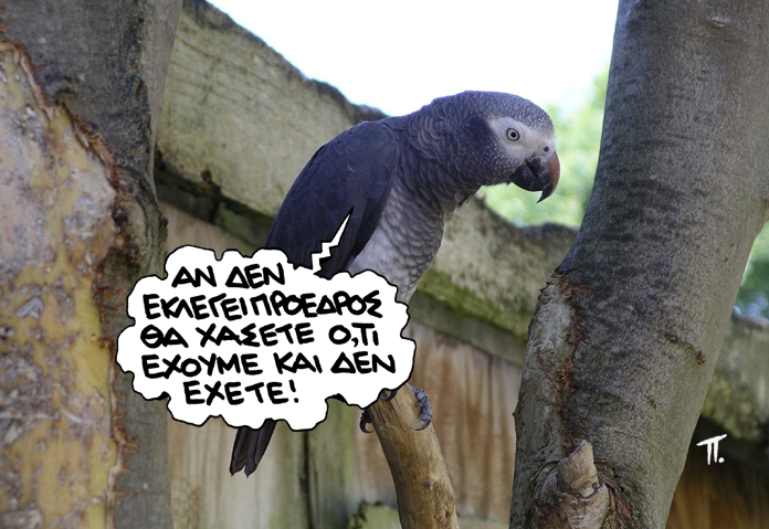 Σατιρικός Παπαγάλος - Media
