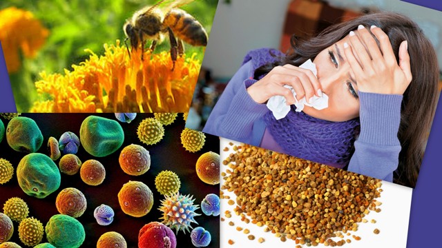 Ποιά είναι η φυσική ουσία, που θεραπεύει άμεσα τις λοιμώξεις του αναπνευστικού; - Media