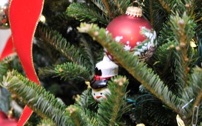 Ξεστόλισαν το χριστουγεννιάτικο δέντρο και βρήκαν… μονόπετρο! - Media