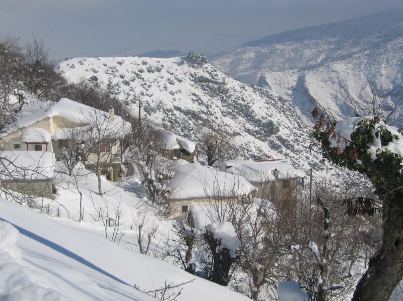 Λασίθι: Κατέρρευσε σπίτι λόγω... χιονιού - Media