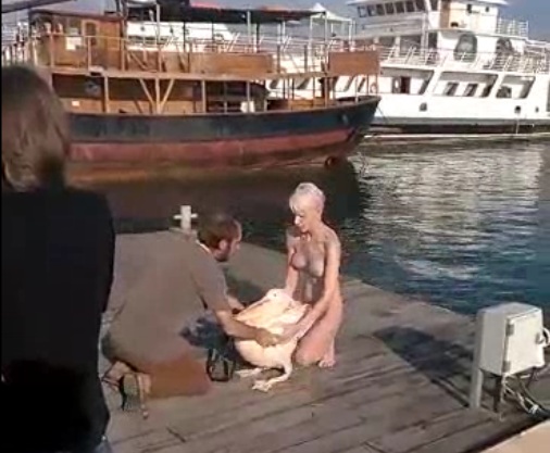 Live Sex Show στο λιμανάκι της Πάφου με πρωταγωνιστές μία Ρωσίδα και ένα πελεκάνο (Photos/video) - Media