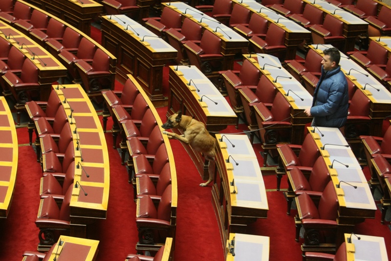 Τα σκυλιά της Βουλής (Photos) - Media
