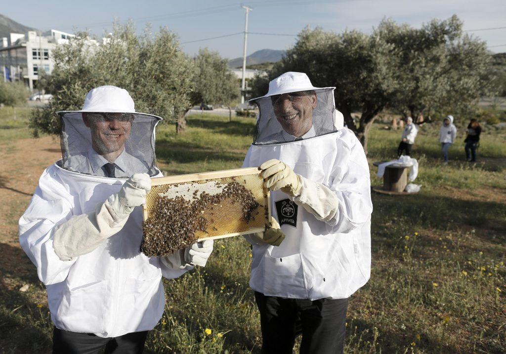 Σταθάκης και Κατάινεν με μία κηρήθρα στα χέρια! (photos) - Media