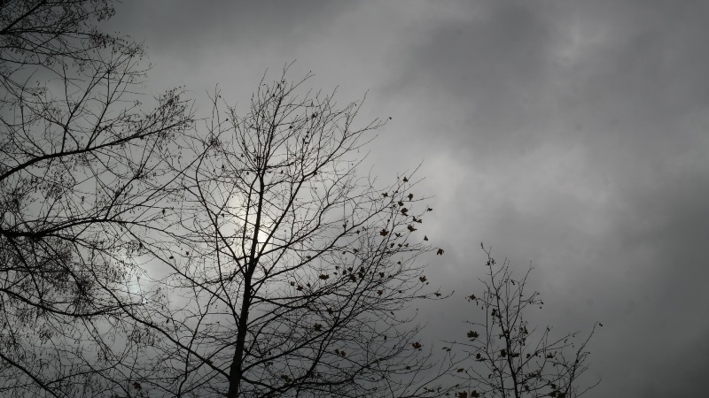 Συννεφιά, βροχές και πτώση της θερμοκρασίας - Media