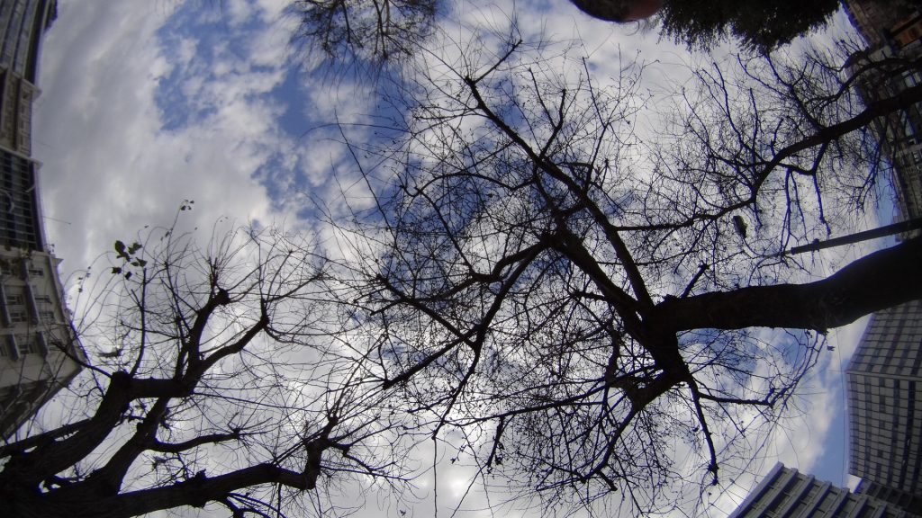 Συννεφιά και βροχές την Κυριακή – Πτώση της θερμοκρασίας - Media