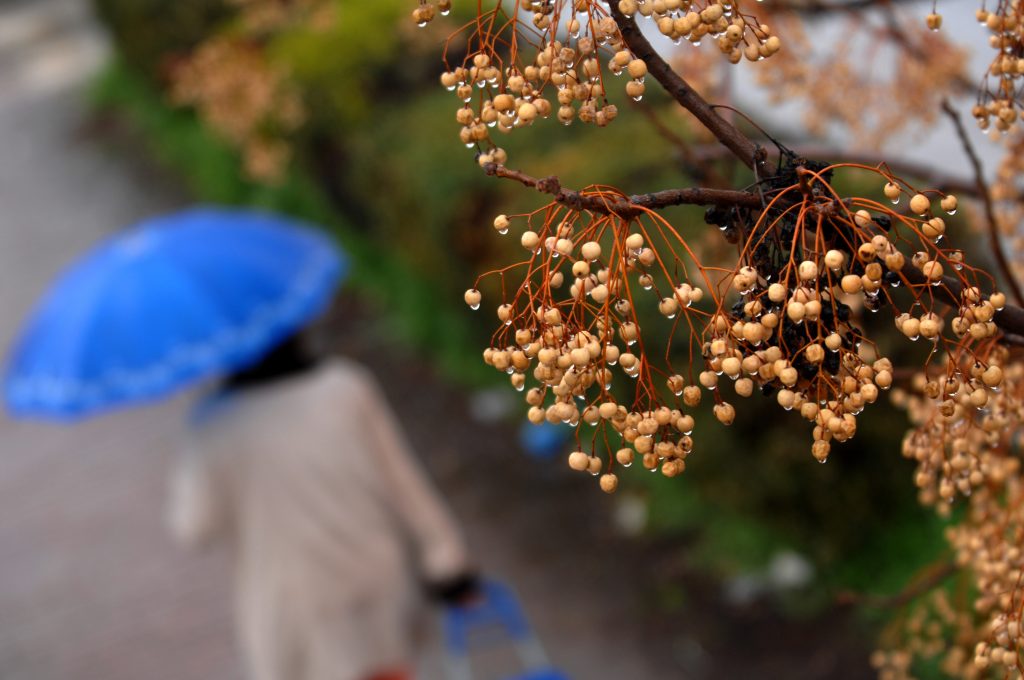 Χαλάει ο καιρός από το απόγευμα της Δευτέρας – Πού θα βρέξει - Media