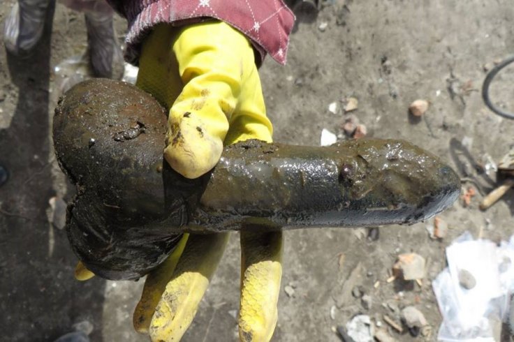 Δονητής «Γολιάθ» βρέθηκε σε ανασκαφή στην Πολωνία (photos) - Media