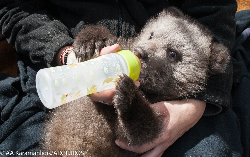 Και το όνομα αυτού Πάτρικ! - Media