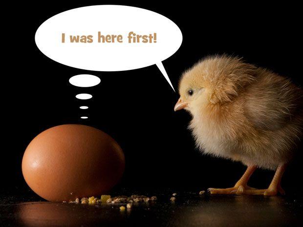 Δίαιτα του αυγού: Είναι ασφαλής για την υγεία; – Πώς γίνεται – Πόσο αποτελεσματική είναι - Media