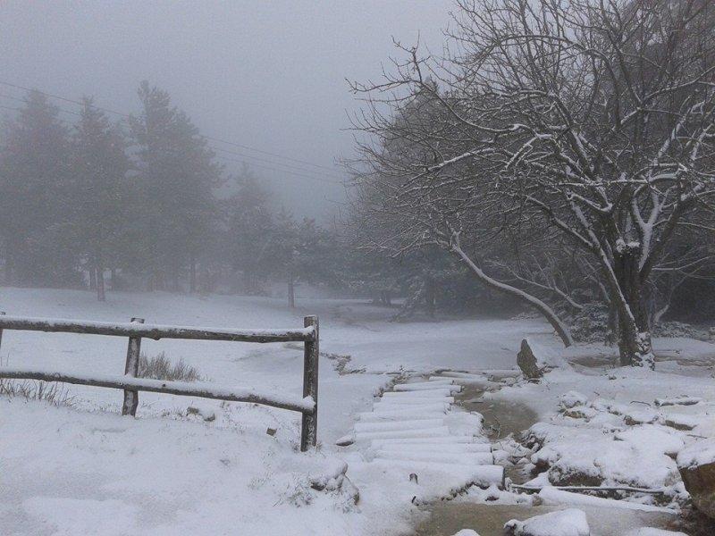 Μεγάλη Τετάρτη με χιόνια - Στα λευκά η Πάρνηθα! (Photos) - Media