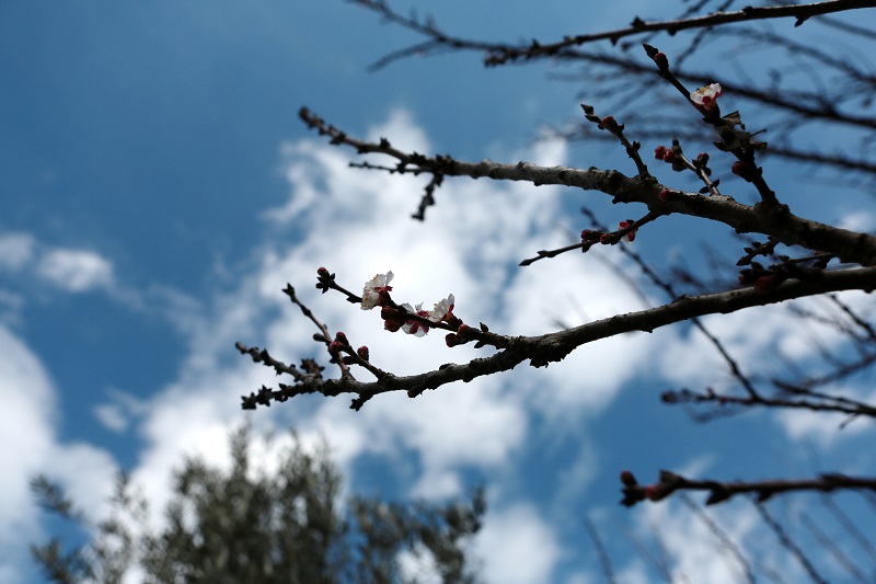 Συννεφιασμένη Κυριακή με... ομπρέλα - Media