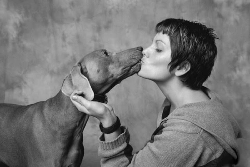Τι μπορεί να πάθουμε εάν φιλάμε τον σκύλο μας στο στόμα - Media