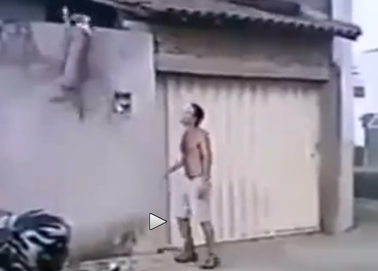 Κάνουν παρκούρ τα πίτμπουλ; (Video) - Media