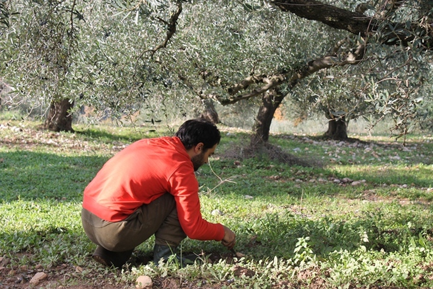 Τον πυροβόλησαν γιατί μάζευε… χόρτα από το χωράφι τους - Media
