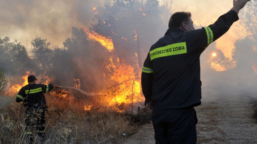 Πυρκαγιά σε δασική έκταση στη Σάμο - Media
