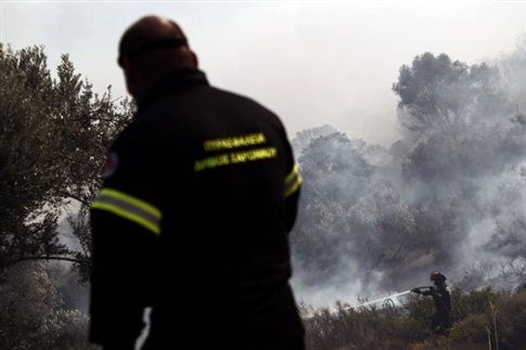 Ζάκυνθος: Πυρκαγιά στο Αργάσι κοντά σε κατοικημένη περιοχή - Media