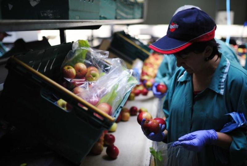 Οι Ρώσοι ελέγχουν μελλοντικούς προμηθευτές αγροτικών προϊόντων-Μεταξύ τους και η Ελλάδα - Media