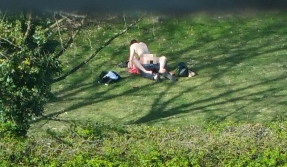 Έκαναν σεξ στο πάρκο μέρα μεσημέρι! (Photos & Video) - Media